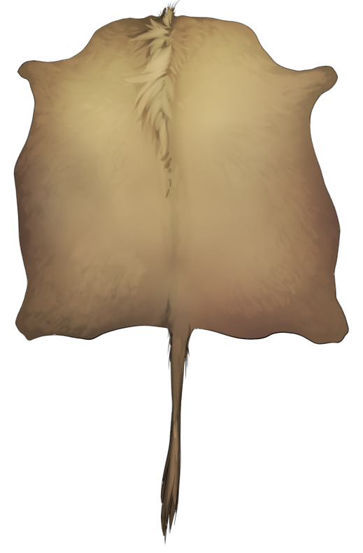 Large Horned pelt - Ochre