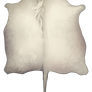 Large Horned pelt - Albino