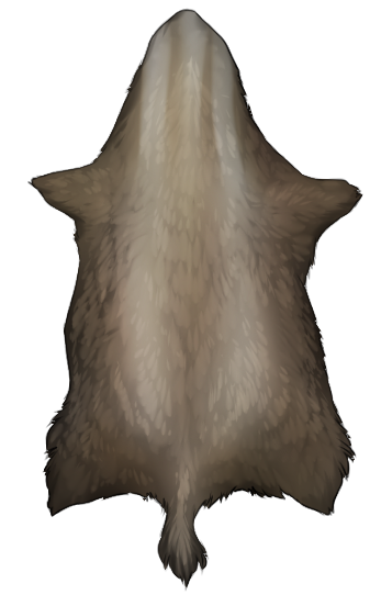 Large Mustelid pelt - Sand