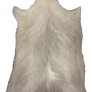 Small Horned pelt - Albino