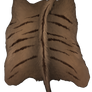 Hyena pelt - Maned