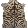 Equine pelt - Striped