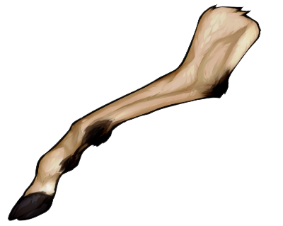 Leg - Small Horned