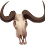 Skull - Large Horned
