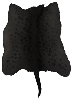 Hyena pelt - Melanistic