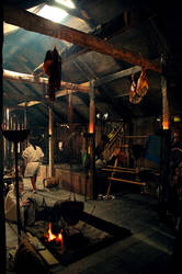 The Viking House