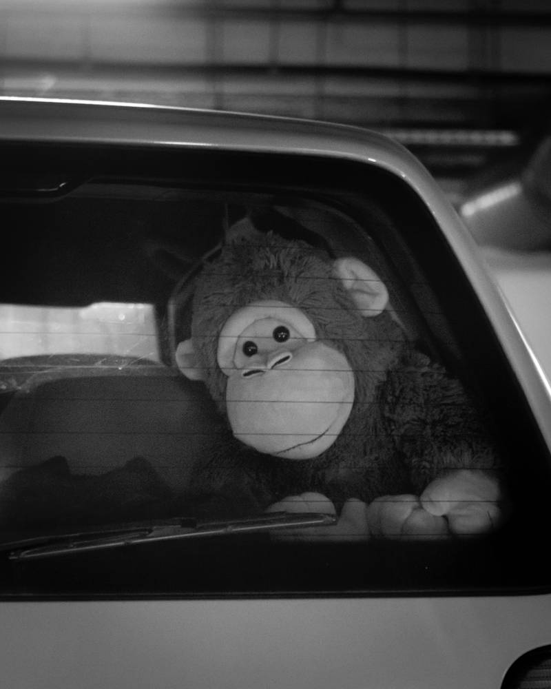 Monkey In Car Monkey in the car by afterthoughtography on DeviantArt