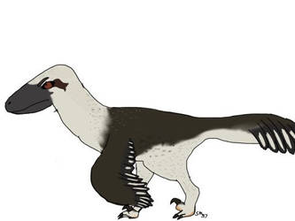 Dakotaraptor Drawing