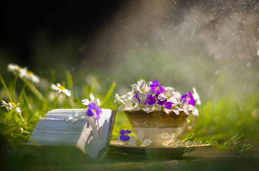 A Cup Of Beauty Flowers