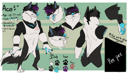 Ace new reference sheet