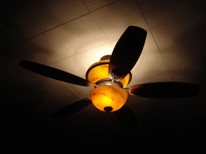 Ceiling Light and Fan