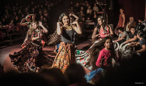 Cirque tzigane Romanes, Paris, 2017