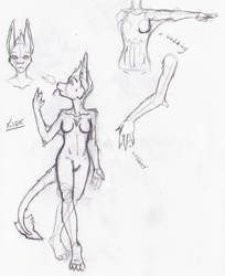 Kiox-sketches