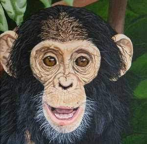 Young Chimpanzee