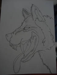 snarling wolf