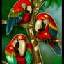 Lil Macaws