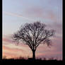 La solitudine...