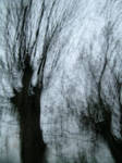 Side Trees C by FiLH