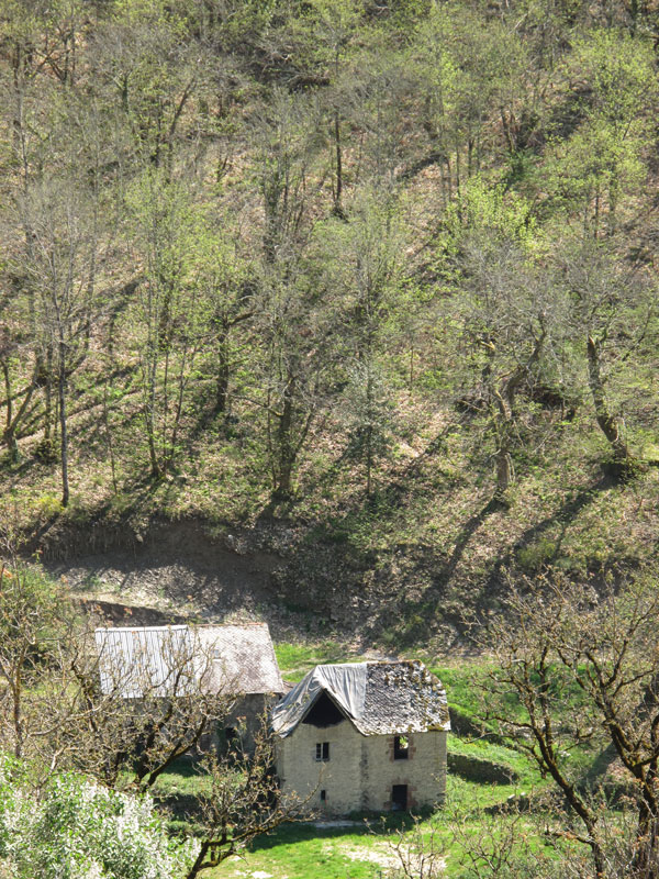 Small House In Light Green