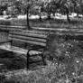 Bench...HDR