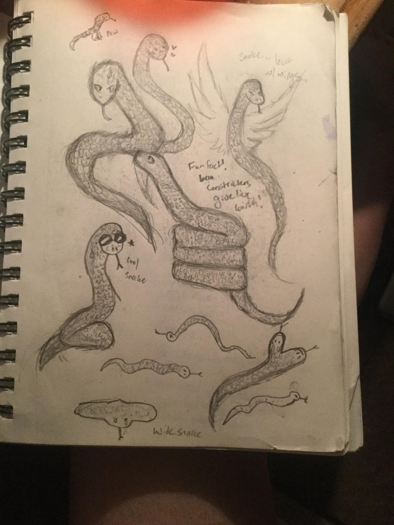 Snake doodles by AlienKingz on DeviantArt