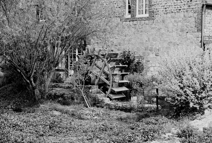 Water mill B-W