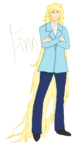 Adult Finn