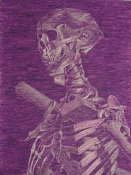 Skeleton