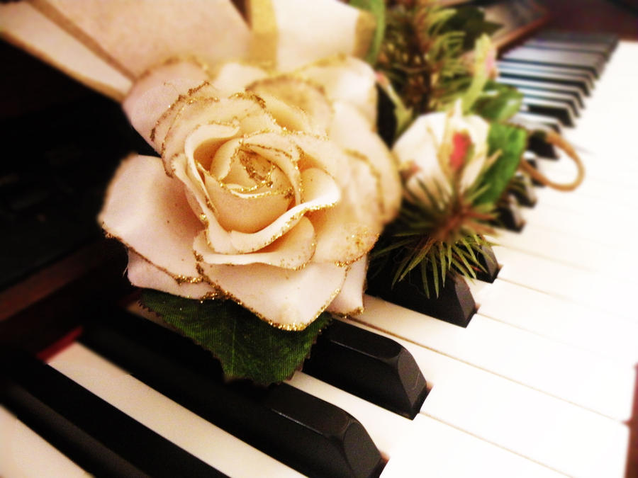the Piano and the Rose