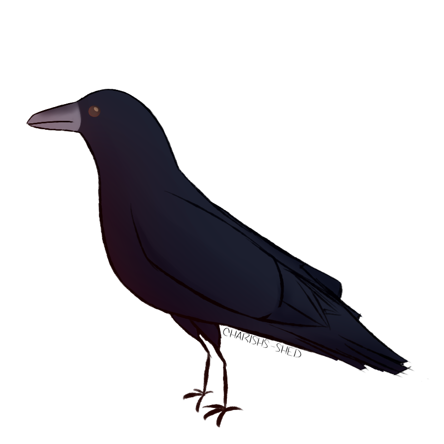 Crow by Charishs-Shed on DeviantArt