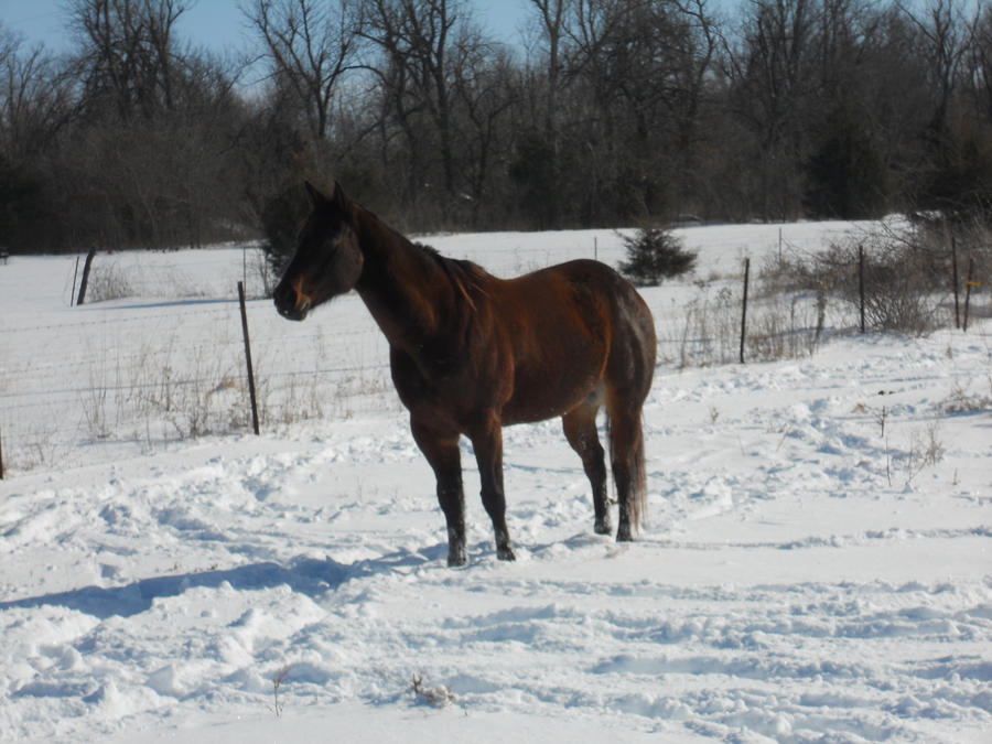 Jesse James Rox--SNOW DAY by shutterfly21 on DeviantArt