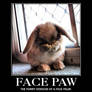 Face Paw