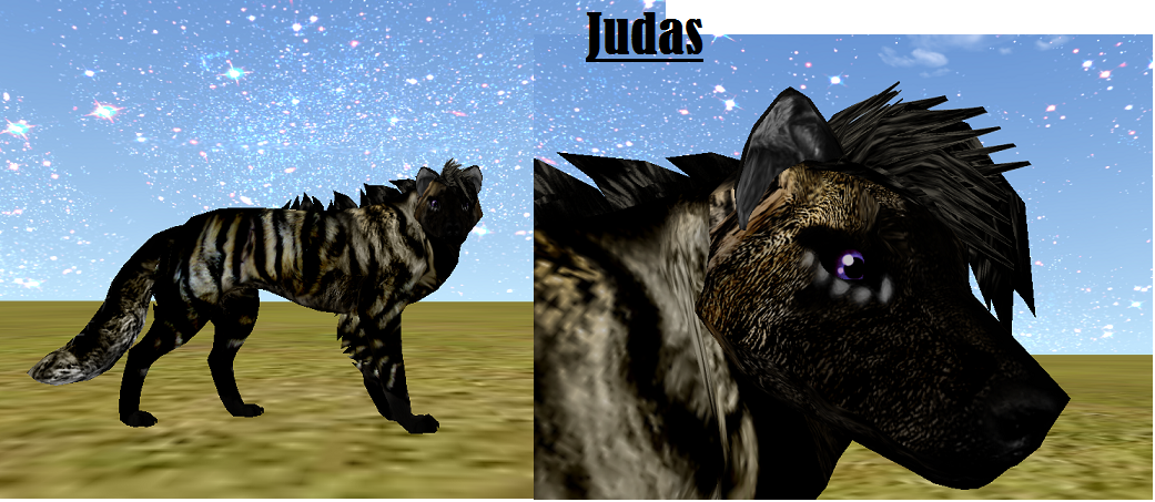 Judas Preset