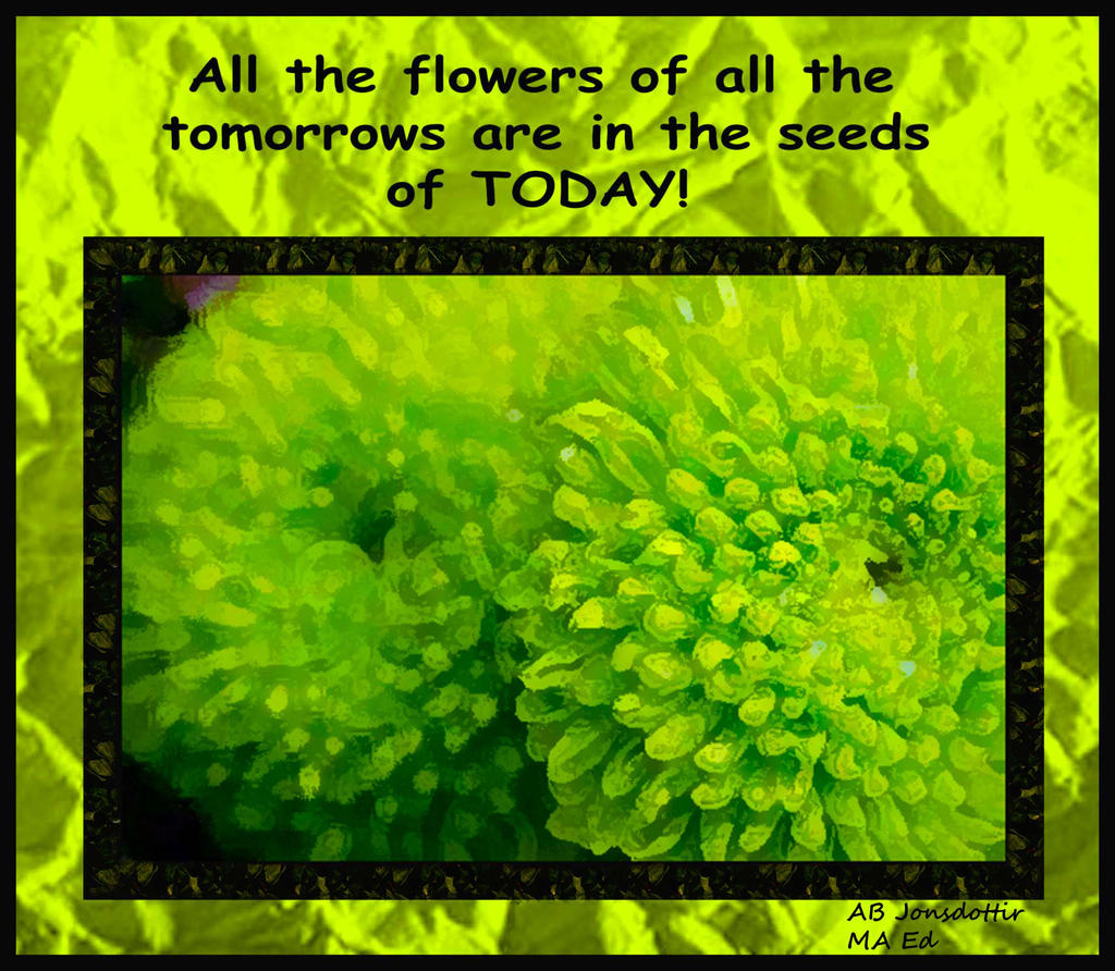 Green Chrysanthemum