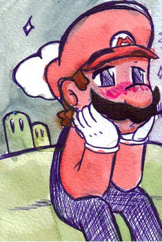 Mario: Everything But Digital
