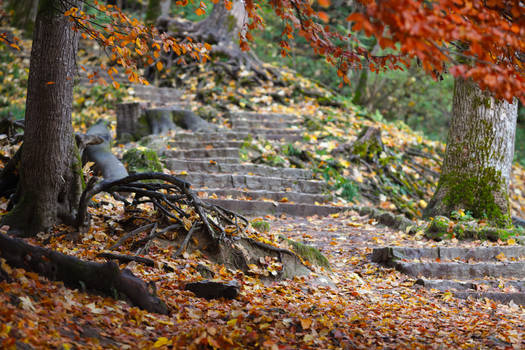 Autumnal Stairways