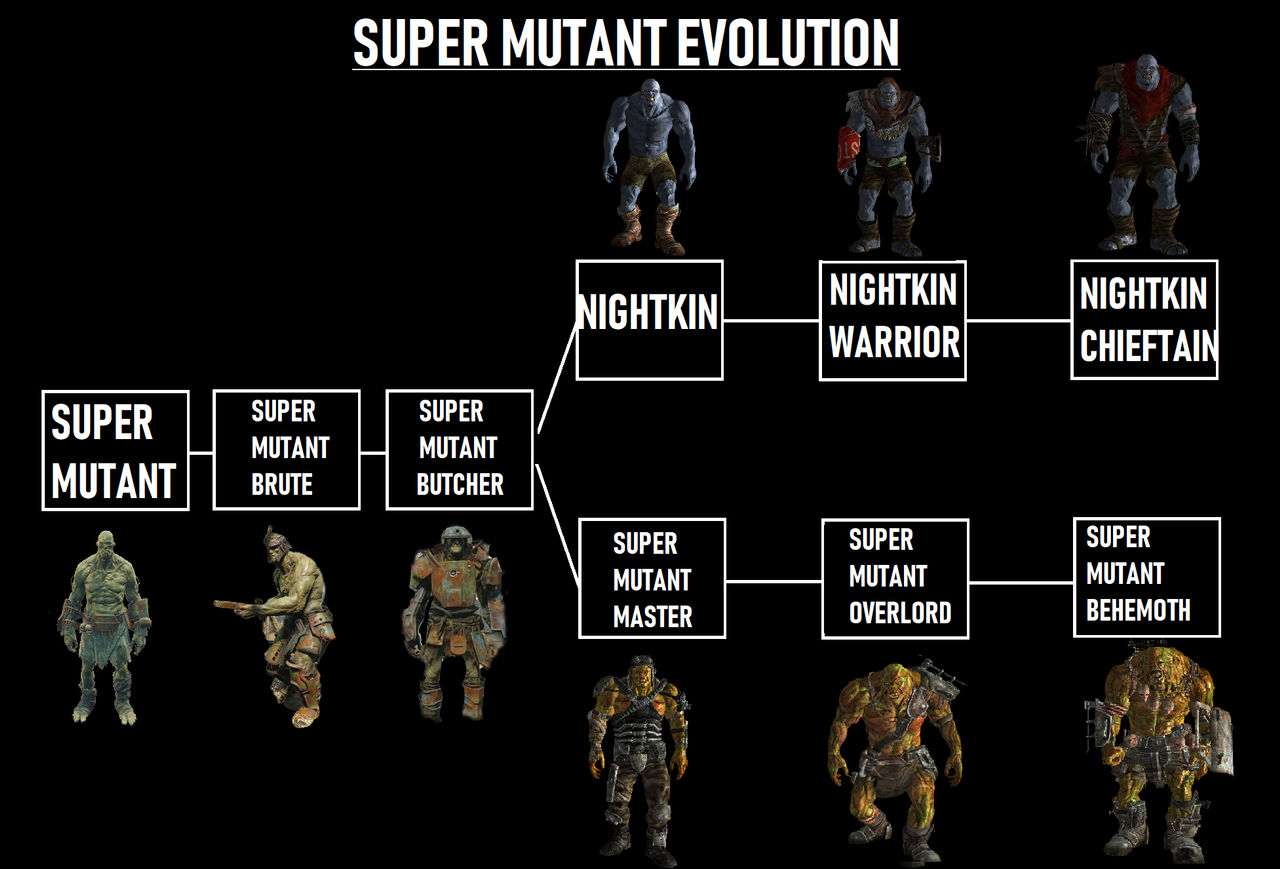 Evolution by rfledu on DeviantArt