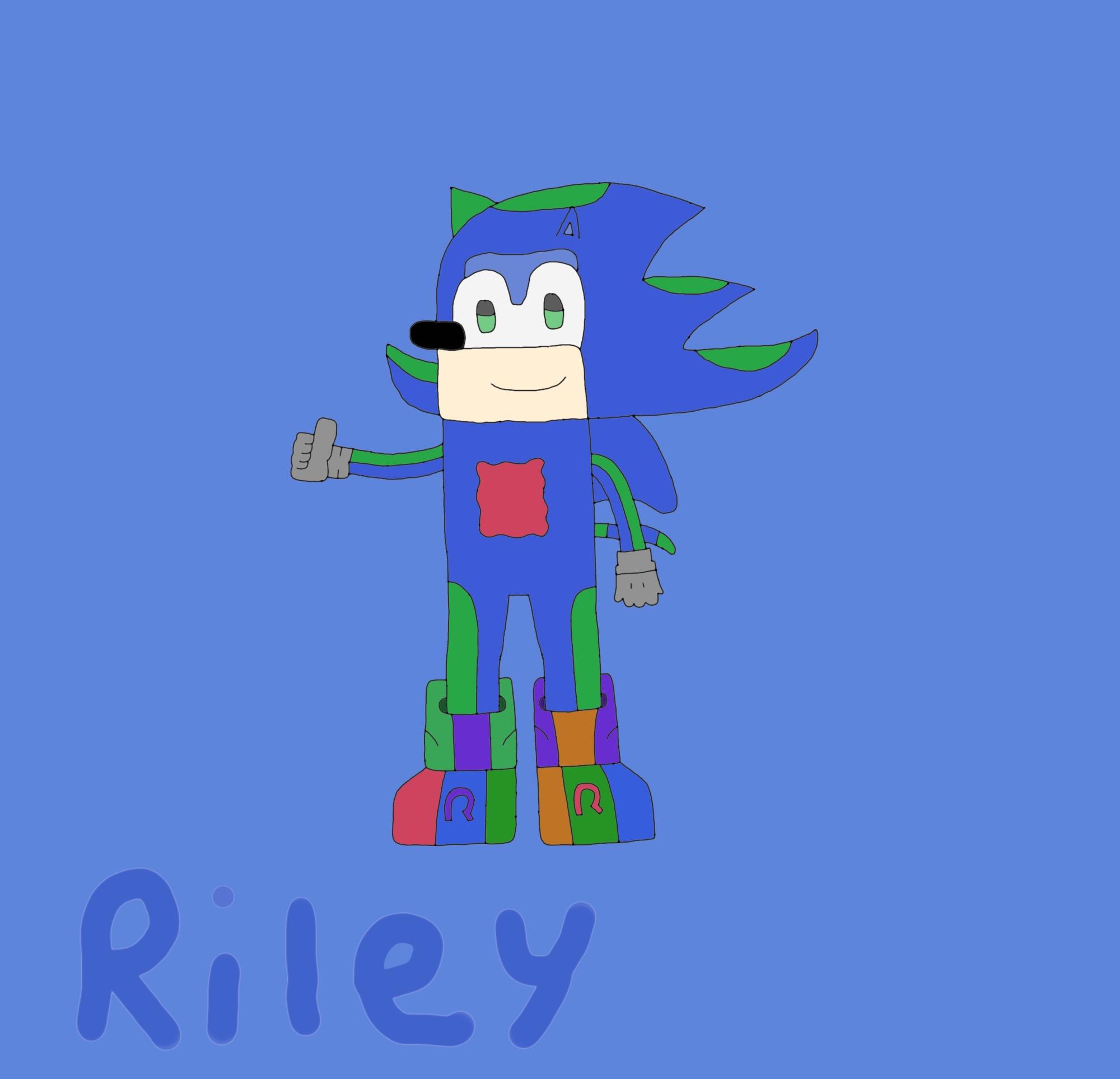 Riley The Hedgehog by SuperSaiyanRiley on DeviantArt