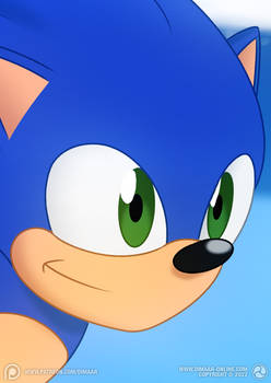 Sonic (Preview)