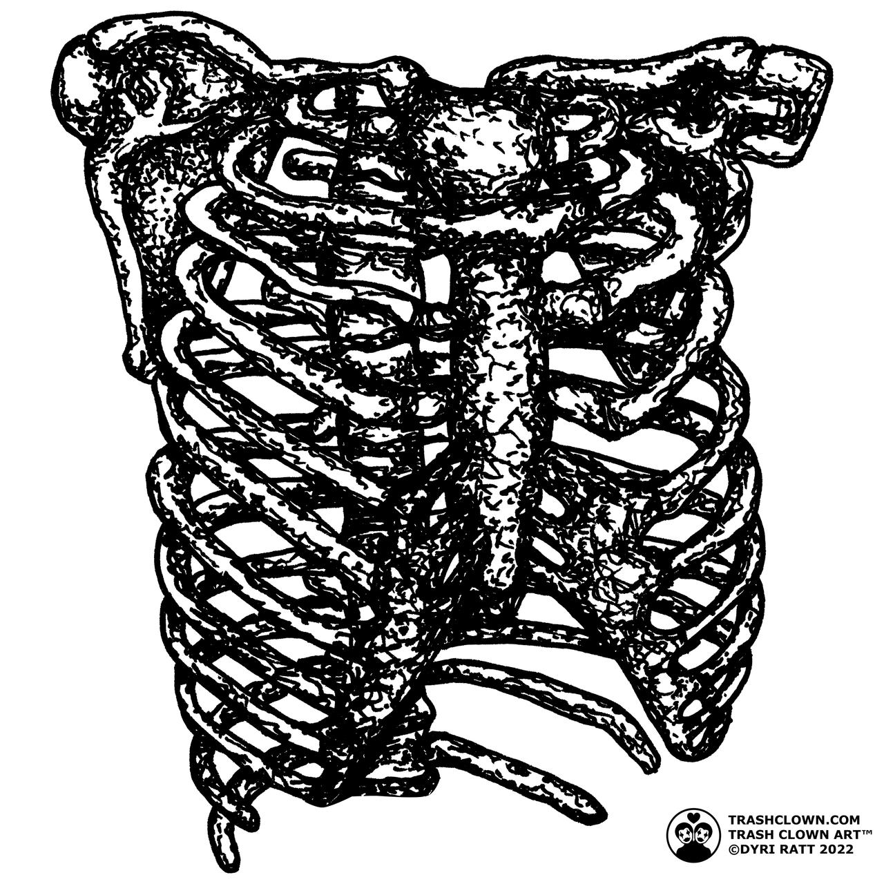 Ribcage by trashclownart on DeviantArt
