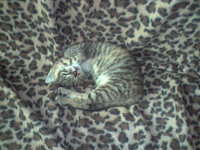 Just 5 more minutes... by Libbit on DeviantArt