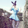 _in wonderland.