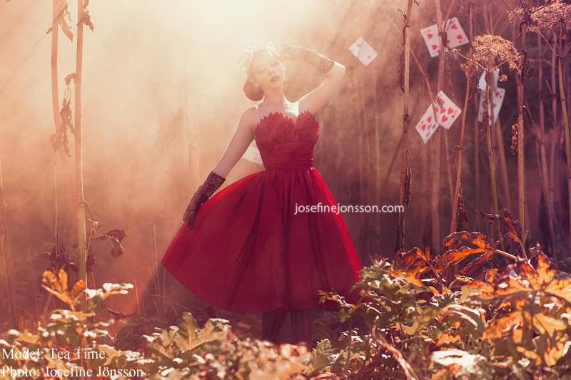 _Queen of hearts. by PurpureaPhotography