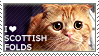 I love Scottish Folds by WishmasterAlchemist