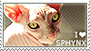 I love Sphynx