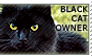 Black Cat Owner