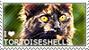 I love Tortoiseshells by WishmasterAlchemist
