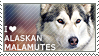 I love Alaskan Malamutes by WishmasterAlchemist