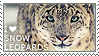 I love Snow Leopards by WishmasterAlchemist