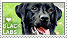 Black Lab Deviantart I love Black Labs by WishmasterAlchemist on DeviantArt